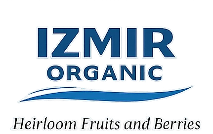 Izmir Organic – Heirloom Fruits and Berries